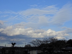 3688FFB2-0510-4837-9E8A-109334CD26B9