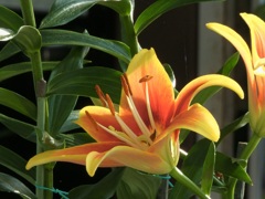 B3639E0E-FB19-49F4-A979-4890A78CA845