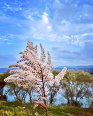 24752CF3-12E0-49E0-8C67-6AADDEA670CA