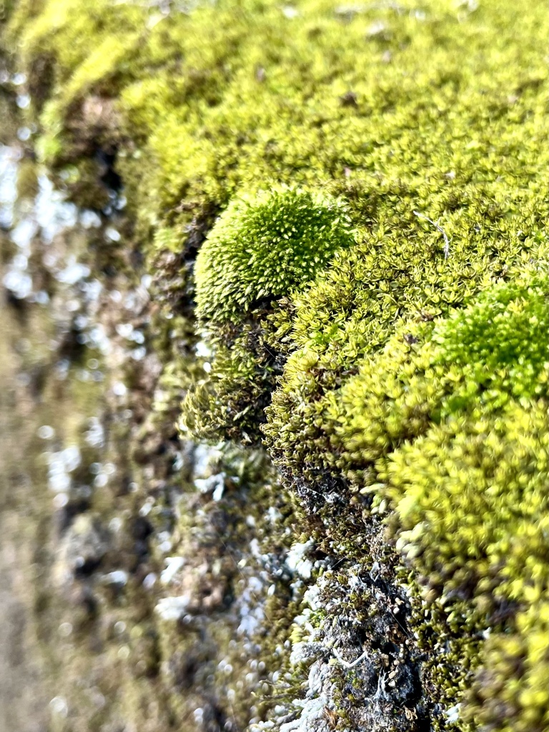 1C9C8671-0C02-41DB-ABCD-689FFDD22D9C