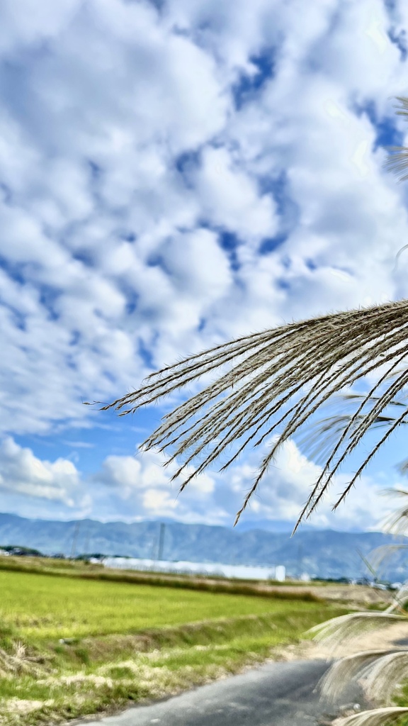 A0B7ACB9-3074-4E3F-AF05-B7EA7AB9E4C2