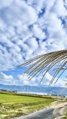 A0B7ACB9-3074-4E3F-AF05-B7EA7AB9E4C2