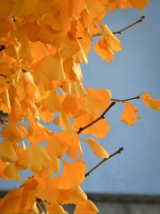 2F0EA39B-8ED7-40F7-AFA7-AE50B3C25EF0