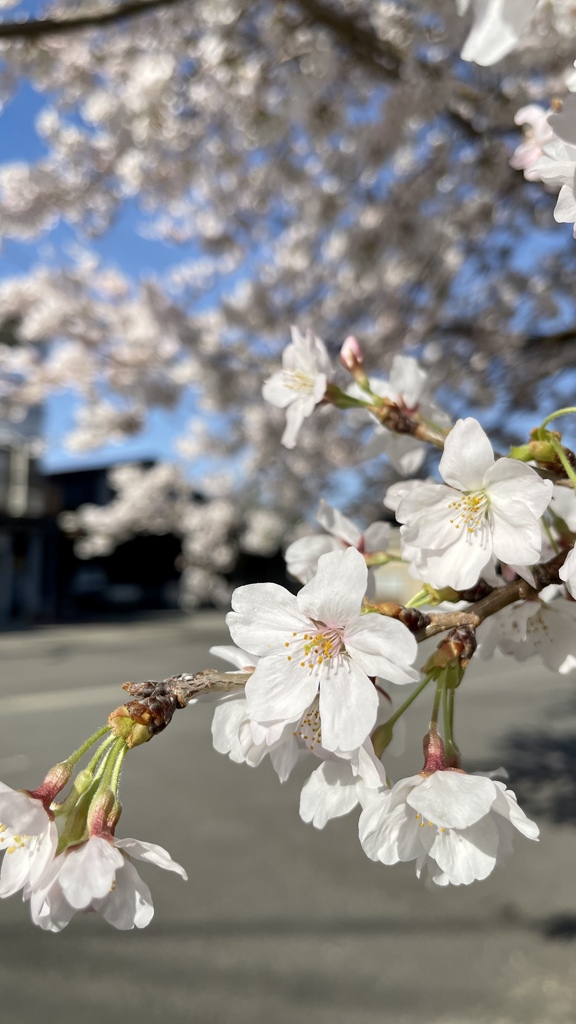 E9EC19C4-2429-4FA1-9D4B-B74DBDF8D687