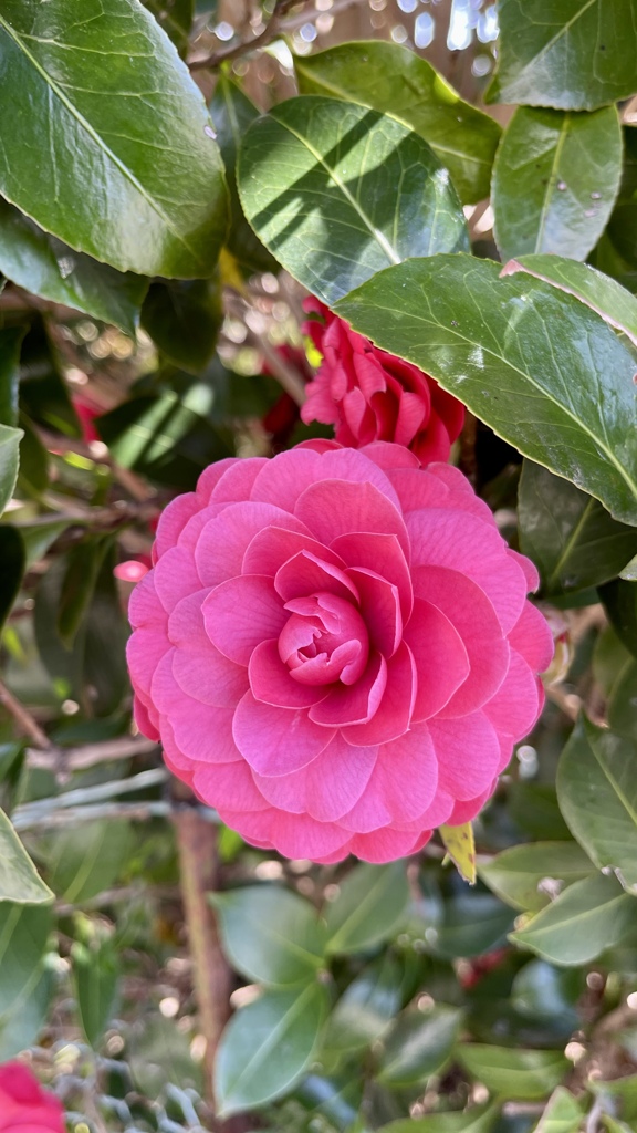 B8770CA9-C7A2-4C08-93CF-27BE8442F825