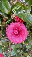 B8770CA9-C7A2-4C08-93CF-27BE8442F825