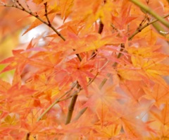 1177B7EB-EA57-4F11-A8AE-A4AD08939D01