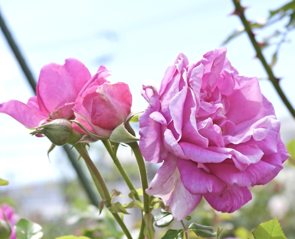 D4851524-99E1-48C0-AFCC-0970EEBEA5D2
