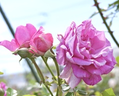 D4851524-99E1-48C0-AFCC-0970EEBEA5D2