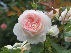30C2A772-32C9-4CF9-B574-7B95914D5A25