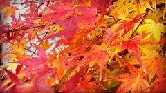 3FCB3775-09E0-4C04-BB7B-D360AFF9185F