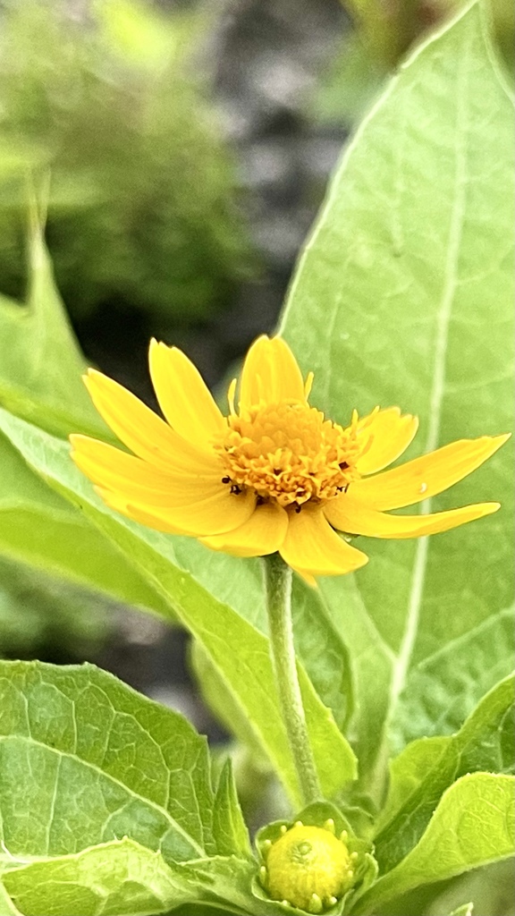 292BE422-9323-4745-981F-EA3271CEE4FF