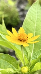 292BE422-9323-4745-981F-EA3271CEE4FF