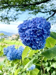 AA4FA9A8-D8B2-42EA-AD46-27FFC53F1621