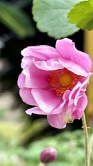 3F32B46C-4A62-42E9-BAEB-1A7BEFB3EA0E