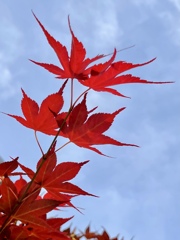 D3D3CC03-4AAF-48CC-B01E-147F49331B35