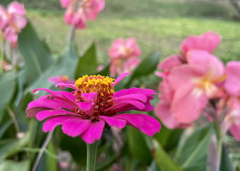 3EB2A8F9-6416-4714-85ED-DA0DEF054052