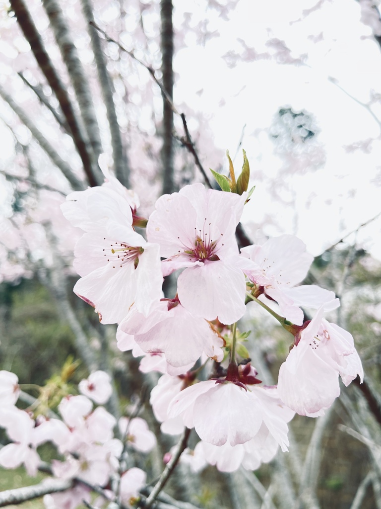 C9BEC0BF-72D0-45AB-AB98-2A4F7F11A69F