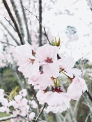 C9BEC0BF-72D0-45AB-AB98-2A4F7F11A69F