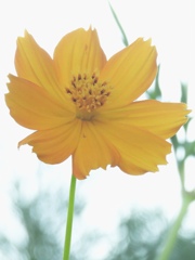 5514D8E5-9532-4A69-8195-302D38C17FF1