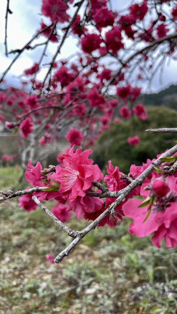 9FF139F5-85D3-4C28-81F8-F4F15AB34D66