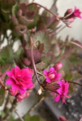 48AA02DF-3D19-46BA-A6E6-CEDE718EBC51