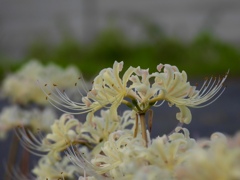 22813D3B-72F5-410B-B630-9E7C0380CBF6
