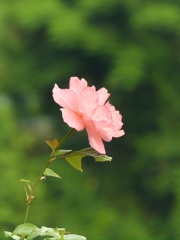 DD7A0EB8-EE2C-4BE0-8A9E-9BB6175BB046