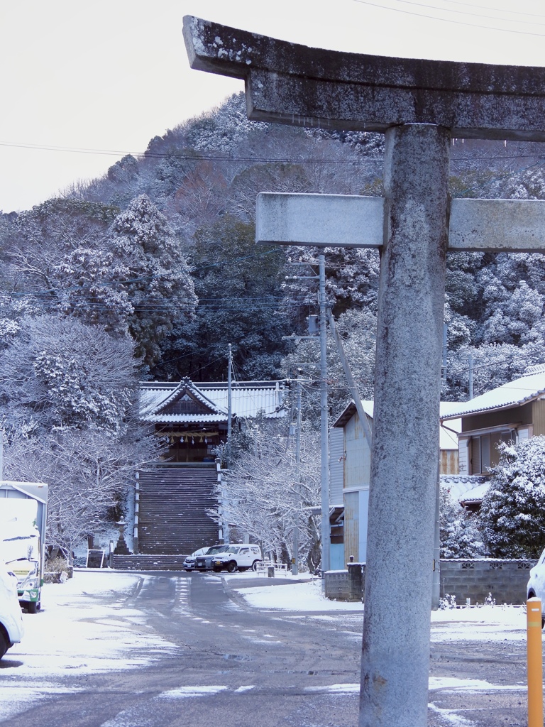 CDD53740-F164-4E47-8135-74BD0BC67068