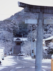 CDD53740-F164-4E47-8135-74BD0BC67068