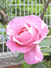 6A949231-051D-4732-9C21-895B1E379BBE