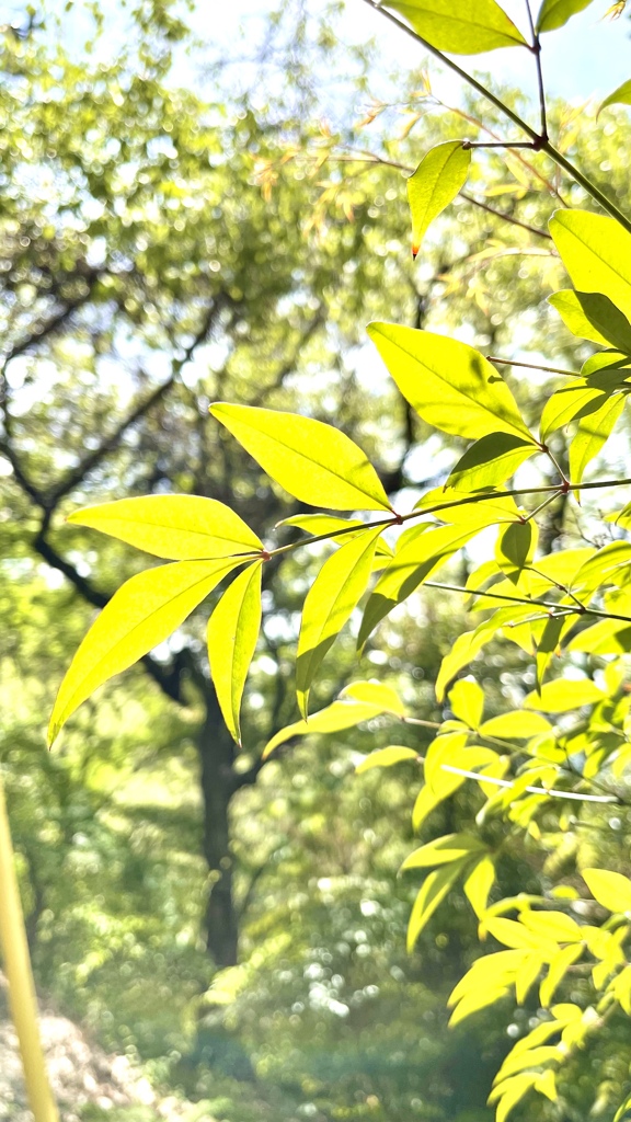 F4AF2838-14DB-453F-ACA3-6ADAD3B655A7