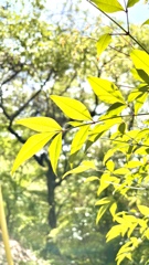 F4AF2838-14DB-453F-ACA3-6ADAD3B655A7