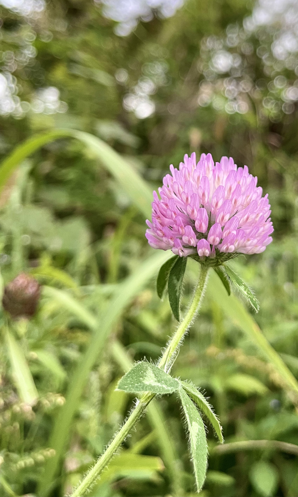 0283BC57-CD76-44B1-A8F9-0EC80AD588E9