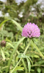 0283BC57-CD76-44B1-A8F9-0EC80AD588E9