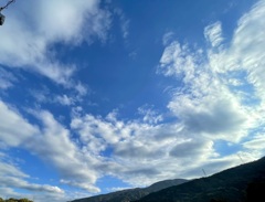 E86206FF-D78C-4CA6-92A7-4404610CE4C4