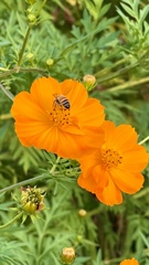 75B3E390-BB41-4336-8DA2-C1078F6AFAD4