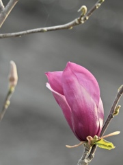 A83C84FA-0776-4222-B7D5-0575B3E3AFD5