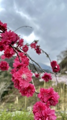 916D613F-BA07-44C2-9C01-3926135AF9AB