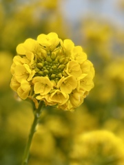 33FB3BD0-3589-4288-85B5-3EFA9875CBD9