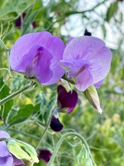 15E30992-6EF4-4407-8C4C-CBE542A2012D