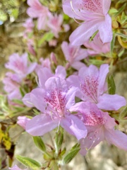 8B9F8CC9-67B8-4369-843D-170865244372