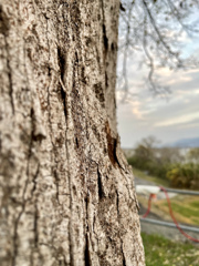 83FD68AF-6AAB-4560-B227-DC9B68515059