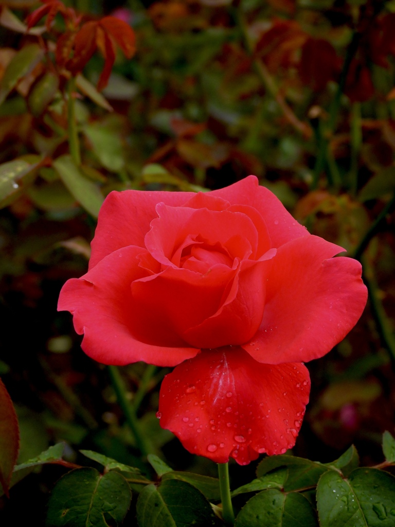 3E875EEB-8AE7-4CE1-AAC3-218F090AB571