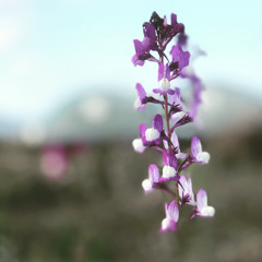 5700C5C0-866D-4B64-8564-526C9668B628