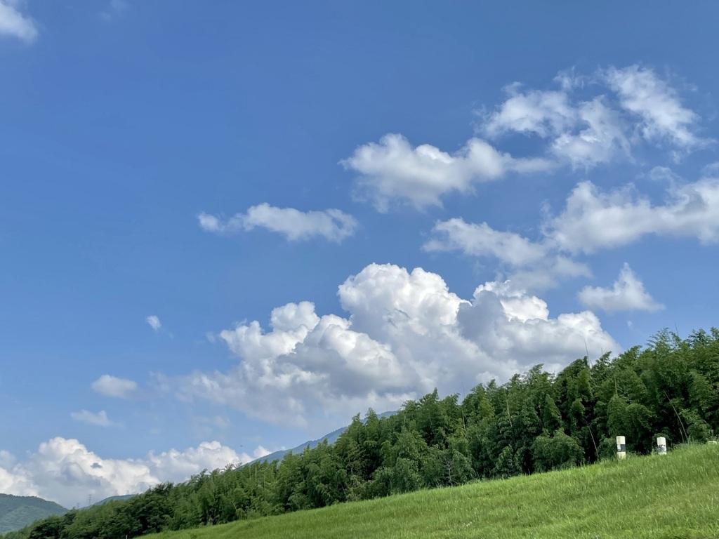 3BBB49D2-45BD-46E8-A96A-BD94A1E6302C