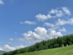 3BBB49D2-45BD-46E8-A96A-BD94A1E6302C