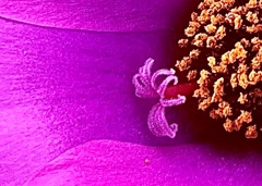 B9B65FD7-F4BF-44C5-AB07-BBBB3775B517