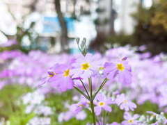 393305D1-A829-43EF-B3D6-228108F94D67