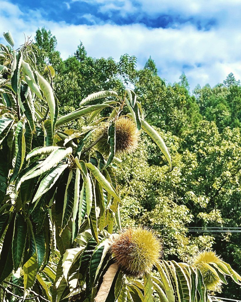 4C111025-69DE-4052-926B-DC3EA4C1F477